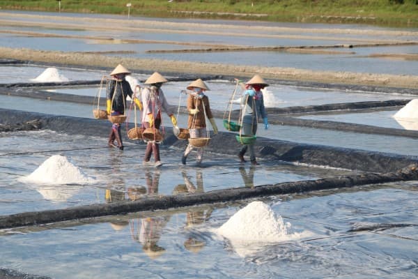 Từ Hà Nội đi du lịch Nam Định bằng xe ghép: Những địa điểm không thể bỏ qua