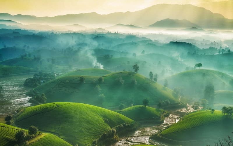 Xe Tiện Chuyến, Xe Ghép Từ Phú Thọ Việt Trì Lên Sân Bay Nội Bài Hà Nội